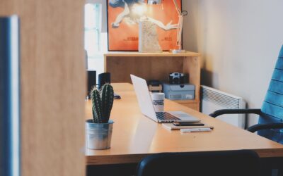 Quelles sont vos responsabilités comme employeur face à une plainte de harcèlement ?